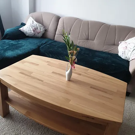 Cozy Bdf Apartment Vatra Dornei
